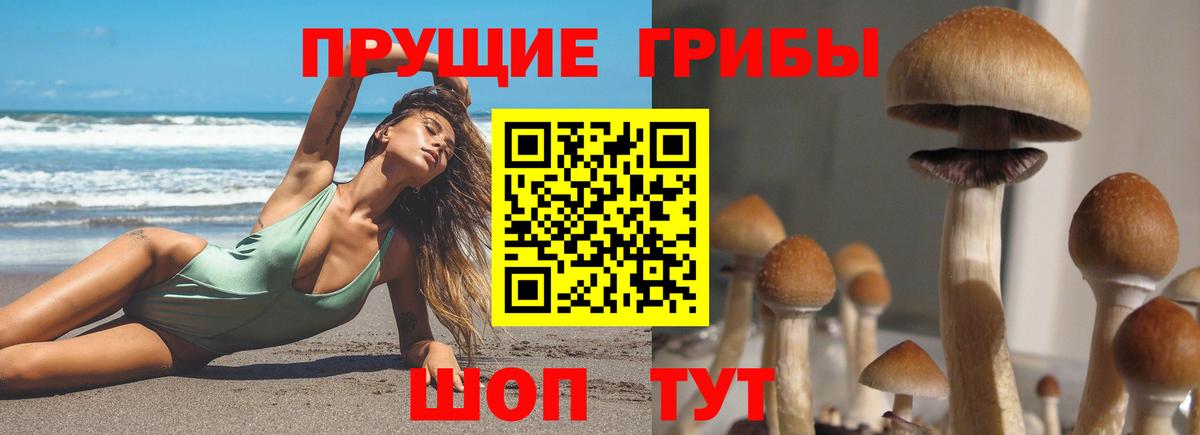 Псилоцибиновые грибы мицелий  Вход с VPN  Уссурийск  купить  цена  Галлюциногенные грибы мицелий 