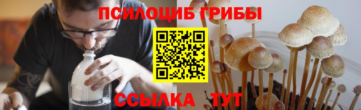 Псилоцибиновые грибы ЛСД Уссурийск